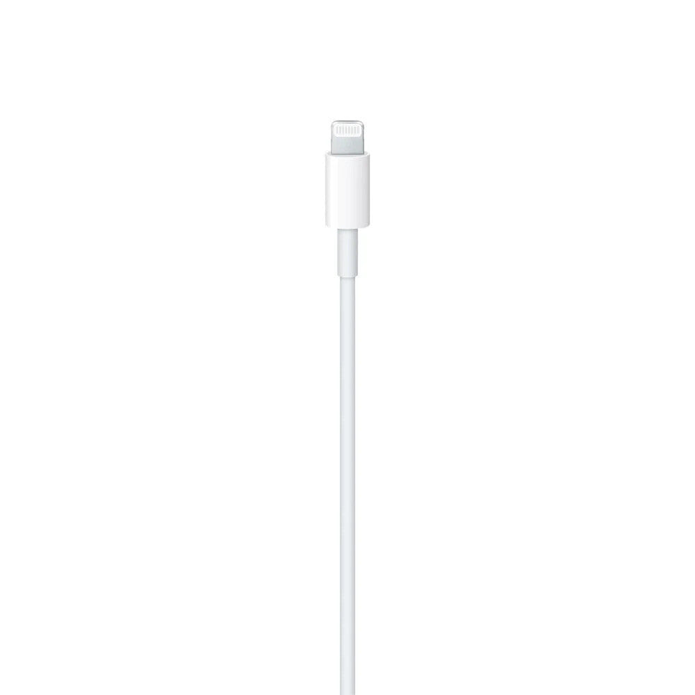 Original Apple 1m Lightning auf USB-C Kabel MM0A3ZM/A