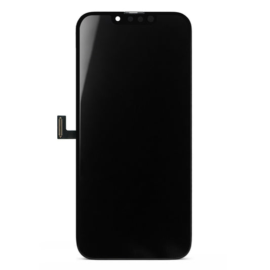 Diagnosefähiges OLED Display für iPhone 13 Pro
