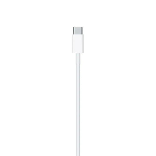 Original Apple 1m Lightning auf USB-C Kabel MM0A3ZM/A