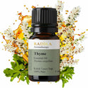 Thymianöl, ätherisches Öl, 100% Rein, BIO, natürlich, 10 ml