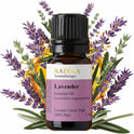 Lavendelöl, ätherisches Öl, 100% Rein, BIO, natürlich, 10 ml