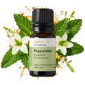 Pfefferminzöl, ätherisches Öl, 100% Rein, BIO, natürlich, 10 ml