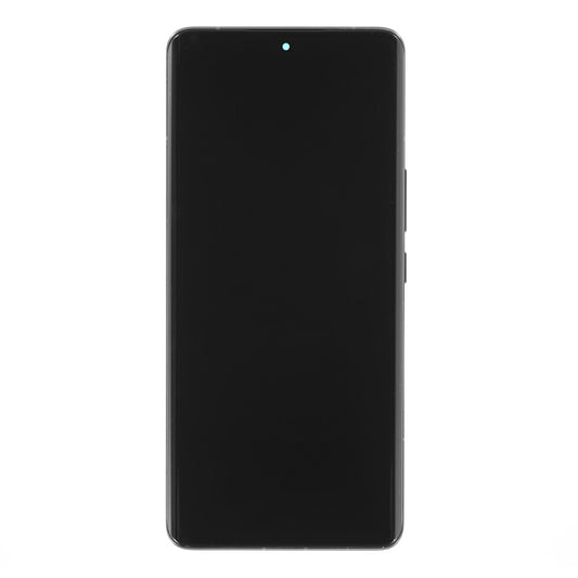 OEM Display + Frame for Realme 10 Pro+ black