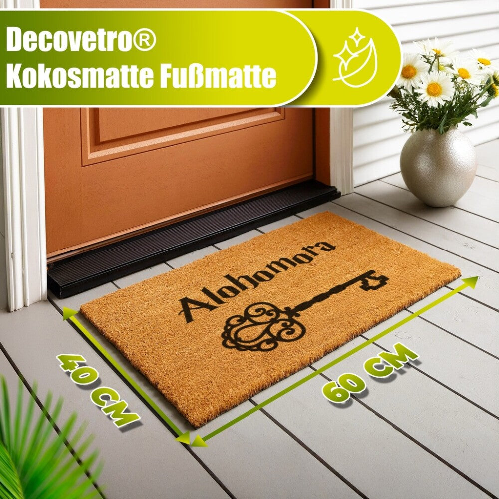 Decovetro Paspas Harry Potter Alohomora Desenli Kapı Önü Paspası 40 x 60 cm