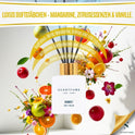 SCENTFUME Raumduft mit Duftstäbchen, Birne, Mandarine, Orange, 110 ml