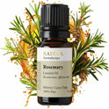Rosmarinöl, ätherisches Öl, 100% Rein, BIO, natürlich, 10 ml