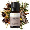 Zedernholzöl, ätherisches Öl, 100% Rein, BIO, natürlich, 10 ml