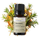 Rosmarinöl, ätherisches Öl, 100% Rein, BIO, natürlich, 10 ml